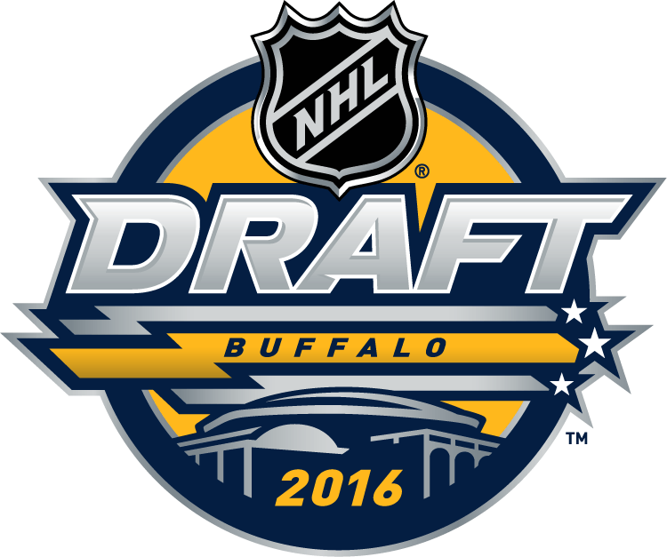 NHL Draft 2016 Primary Logo iron on heat transfer